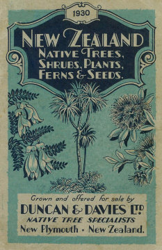 Duncan and Davies, New Zealand Native Trees, Shrubs, Plants, Ferns and Seeds, 1930