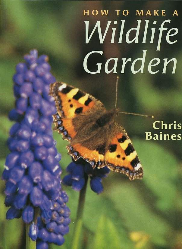 How to Make a Wildlife Garden