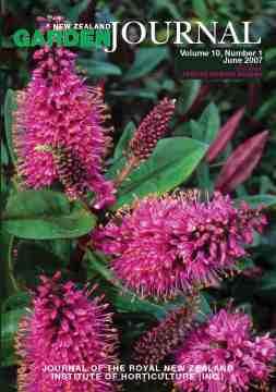 Front Cover: Hebe ‘Wiri Desire’, a cultivar raised and photographed by Jack Hobbs.