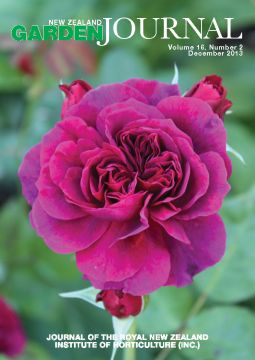 Rosa 'Prospero', a David Austin English Rose. Photographed by Jack Hobbs at Ayrlies Garden.