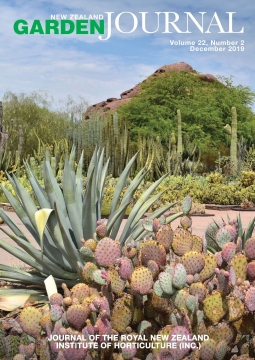 The succulent collection at the Desert Botanical Garden in Phoenix, Arizona. Photo: Karin van der Walt.