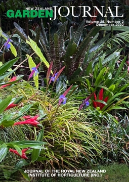 A selection of bromeliads growing in a garden border. Photo: © Geoffrey Marshall.