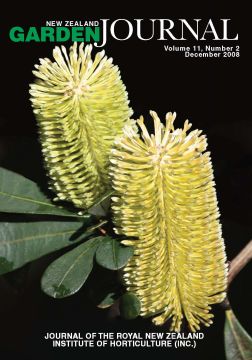 Banksia integrifolia, also known as the coast Banksia, is named after Sir Joseph Banks. Image: Jack Hobbs, Auckland Botanic Gardens.