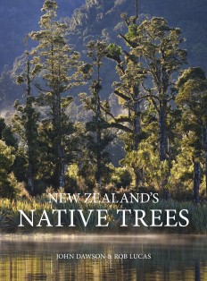 NZs Native Trees