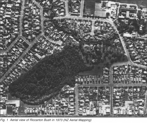 Fig. 1 Aerial view of Riccarton Bush