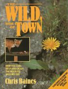 The Wild Side of Town