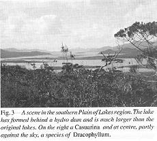 Fig. 3 - A scene in the southern Plain of Lakes region 