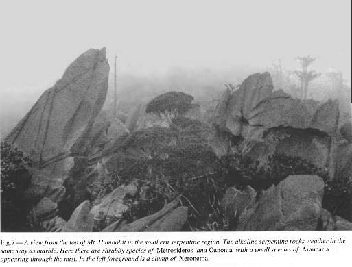 Fig. 7 - A view from the top of Mt. Humboldt in the Southern Serpentine region