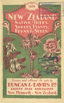 Duncan and Davies, New Zealand Native Trees, Shrubs, Plants, Ferns and Seeds, 1929