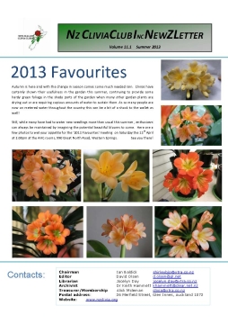 Clivia Newsletter Summer 2013