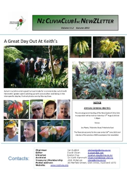 Clivia Newsletter Autumn 2013