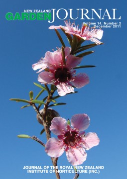 Leptospermum scoparium ‘Julianne’, a pink-flowered manuka brought into cultivation from the Aupouri Peninsula, Northland. Image: Graeme Platt.