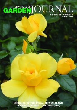 Rosa 'Serendipity', a high performing Floribunda rose growing at Auckland Botanic Gardens. Image: Jack Hobbs.