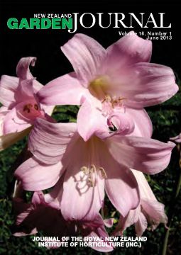 The belladonna lily (Amaryllis belladonna). Image: Rod Bieleski.