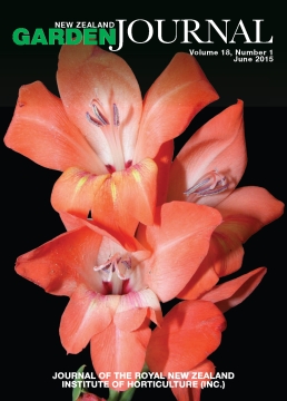Gladiolus x brenchleyensis. Photo: Colin Jamieson.