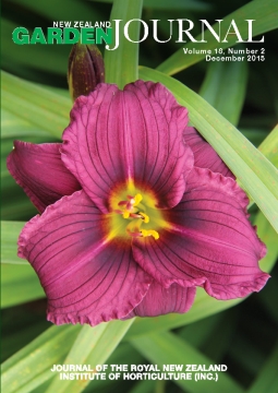 Hemerocallis 'Little Grapette'. Photo: Jack Hobbs.