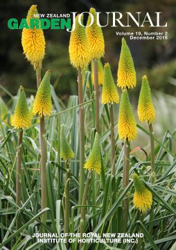 Kniphofia 'Percy's Pride' (red-hot poker). Photo: Jack Hobbs.