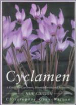 Cyclamen