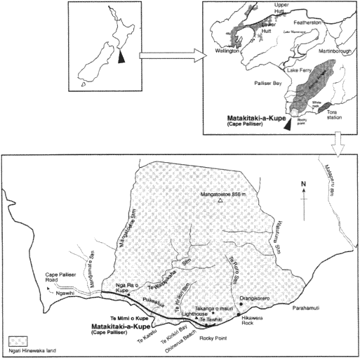 Fig. 1: Location of Matakitaki-a-Kupe.