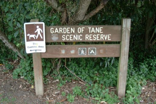 Garden of Tane Scenic Reserve