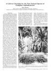A cultivar checklist for the New Zealand species of Cordyline