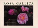 Rosa Gallica
