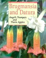Brugmansia and Datura