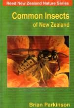 Common Insects of New Zealand