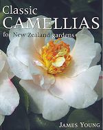 Classic Camellias for New Zealand Gardens