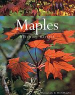 Maples