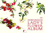 An Edwardian Lady’s Flower Album