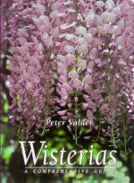 Wisterias – a Comprehensive Guide