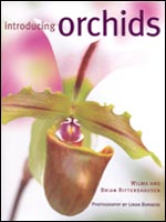Introducing orchids