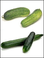 Cucumbers