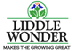 Liddle Wonder
