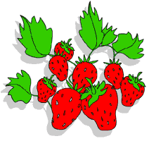 strawberries