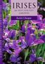 Irises for NZ Gardens